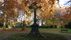 Wilhelm Gard&yuml;: Blumenfriedhof | <a class="print" href="#" onclick="return hs.printImage(this)">Bild drucken</a>